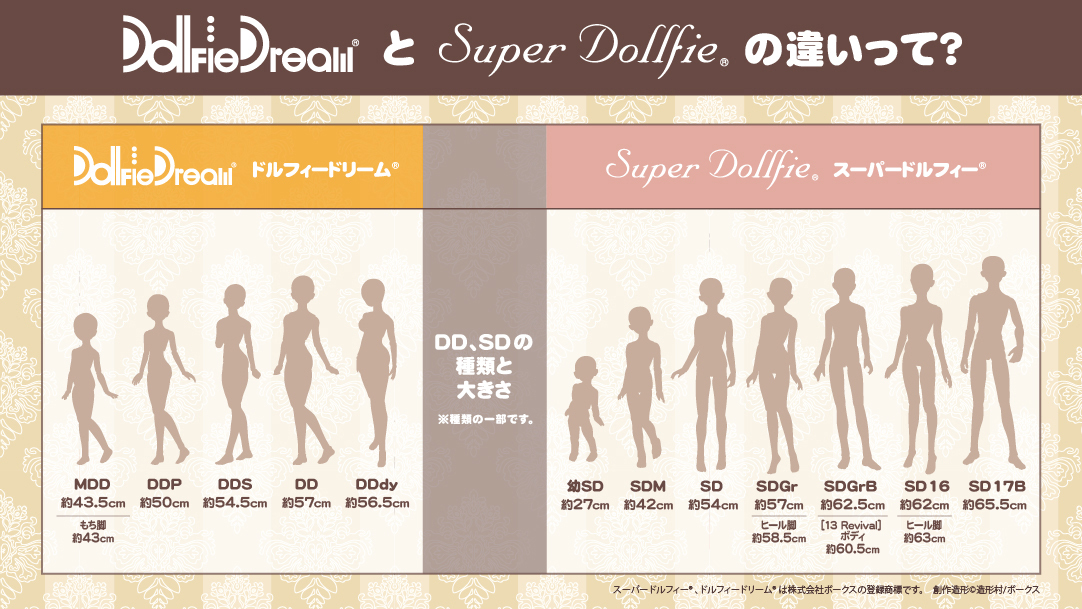 DDとSDの違いって？】 ボディの種類と大きさの比較 ▽詳しくはこちら