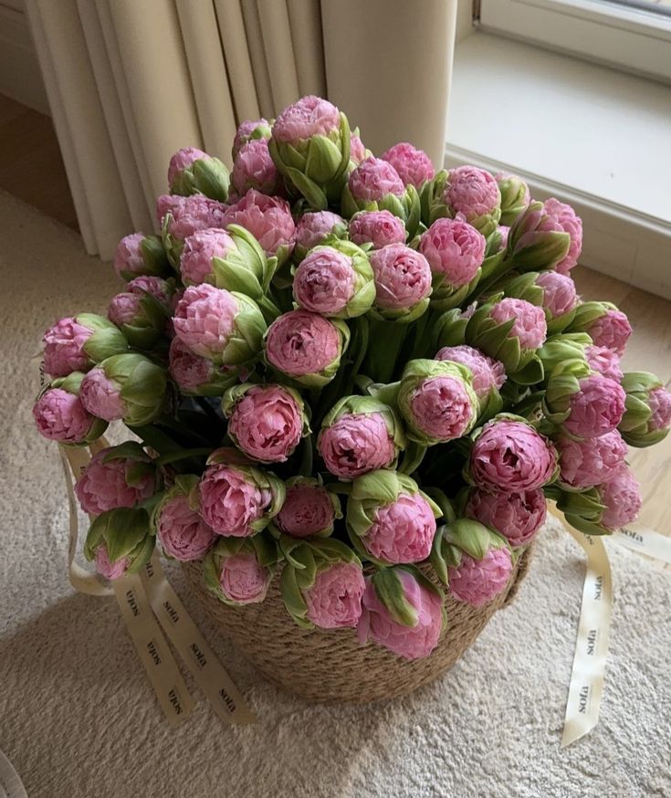 ____flowers__'s tweet image. 