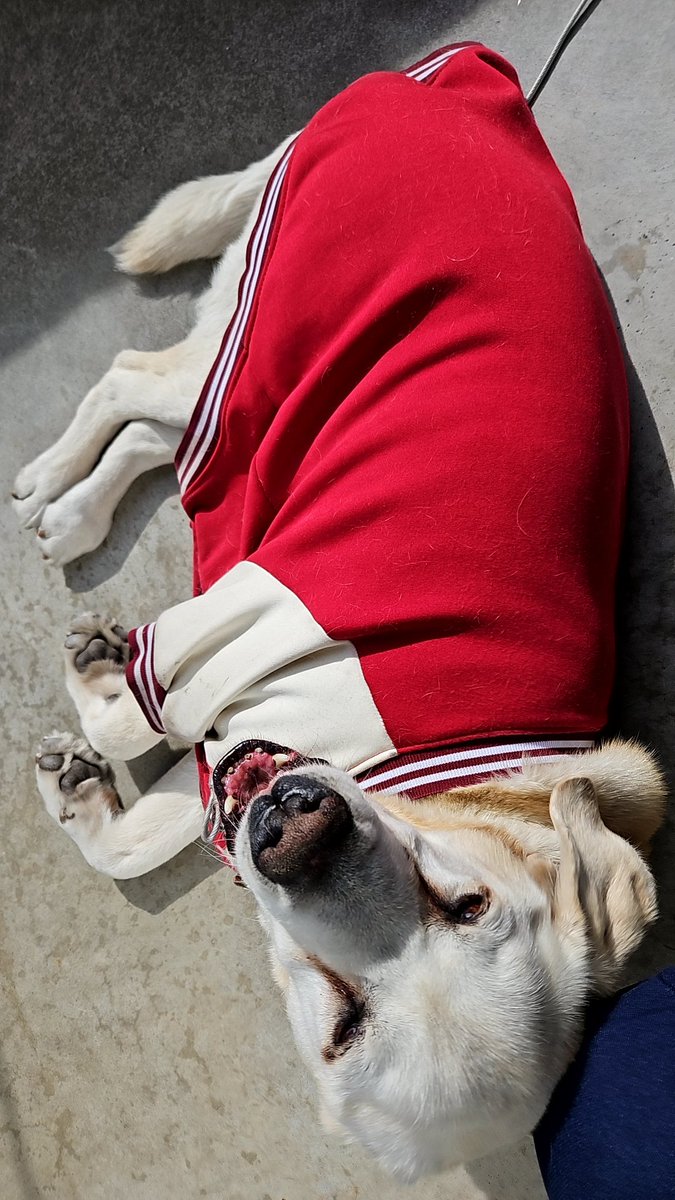 むぎむぎ (@mugimugi92) / Posts / X