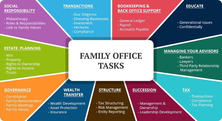 DPJr. ™️ tweet media