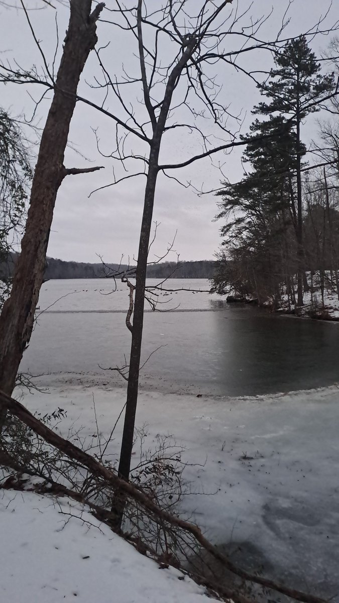 anna brodsky ☮ (@spac3_flow3r) on Twitter photo 