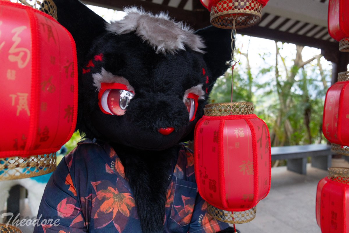 雨衣丿羽翼 tweet media