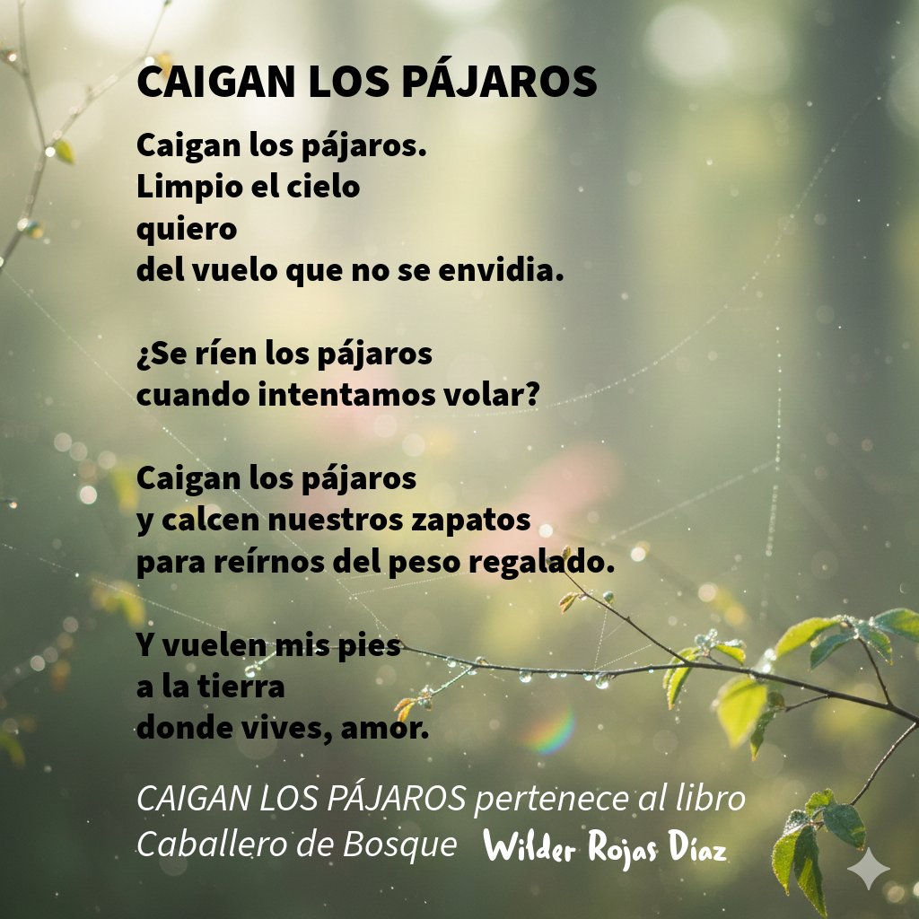 Wilder Rojas Díaz tweet media