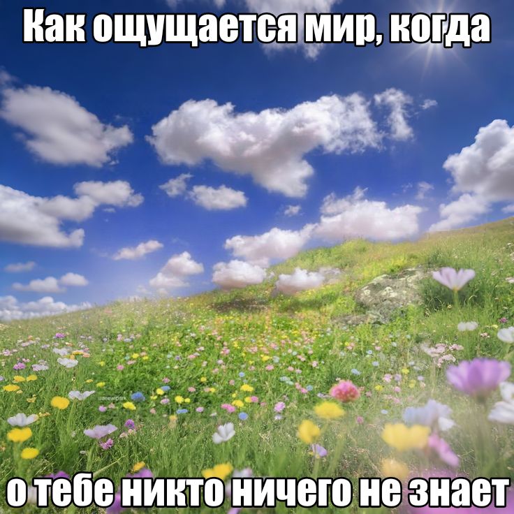 Марти🍂☃️🌱 tweet media