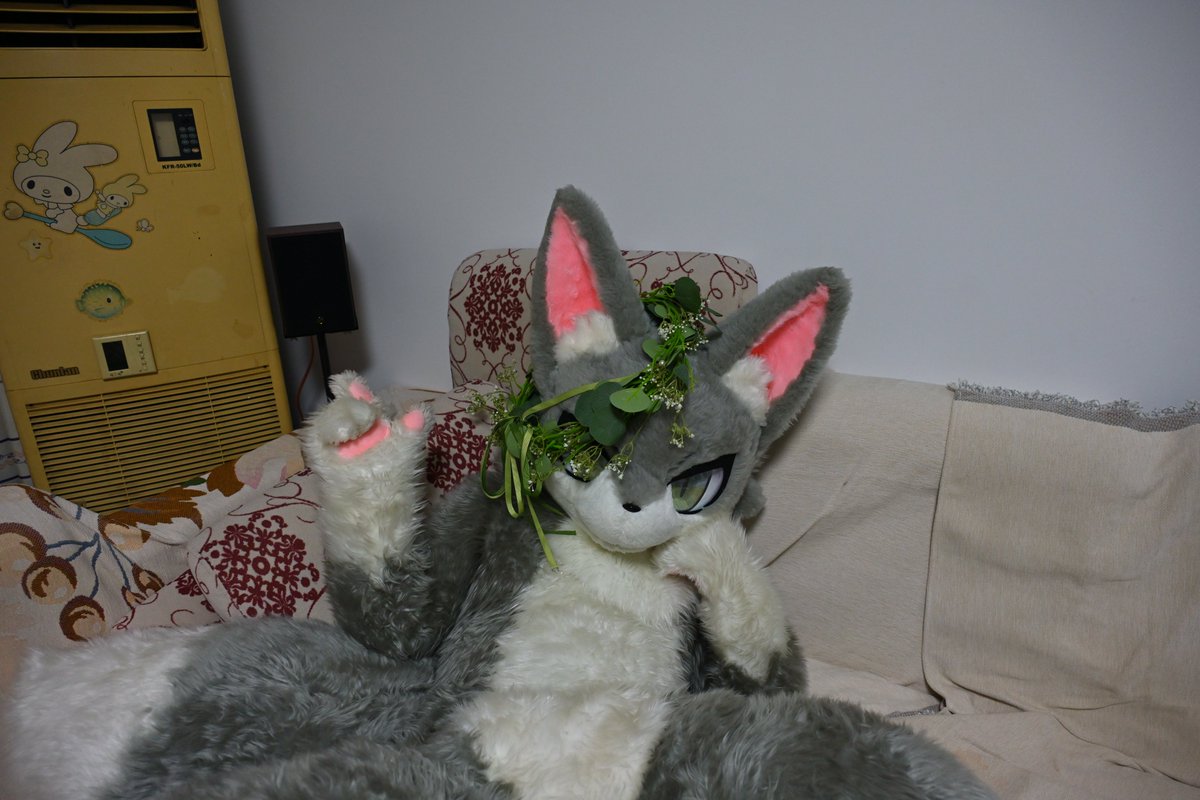 雨衣丿羽翼 tweet media