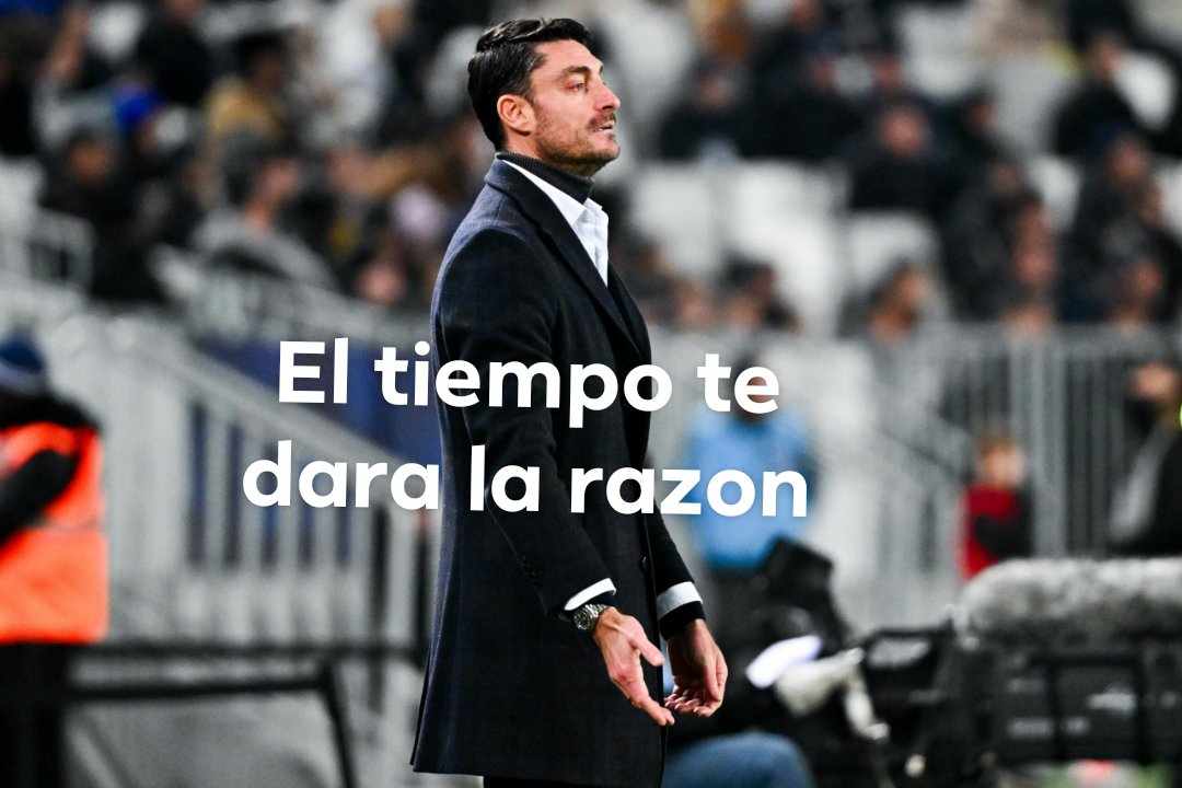 Tibo Reignar tweet media