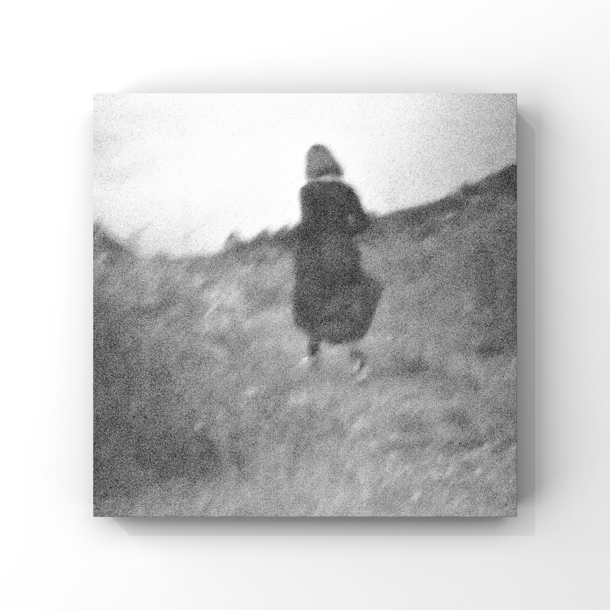 イソ｜#ISO1638400 (@iso1638400) / Posts / X