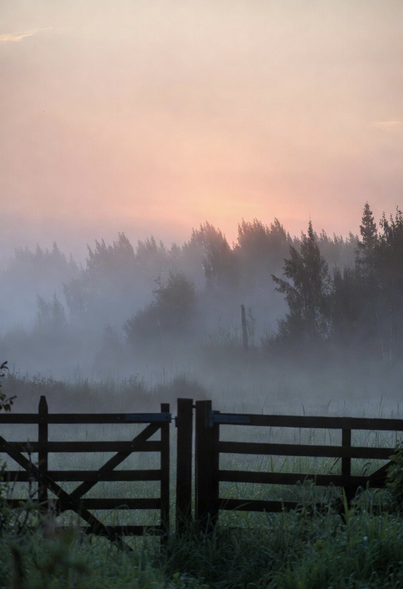 It’s Thursday, we close to the weekend again.
Stay blessed and stay grateful