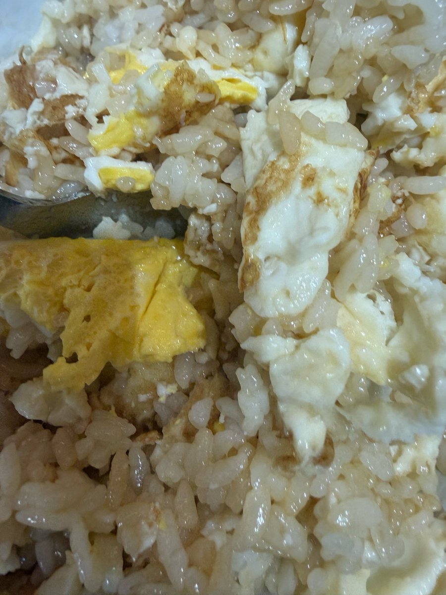 linotexts's tweet image. 260205 ✧ 1:33 pm

[picture]