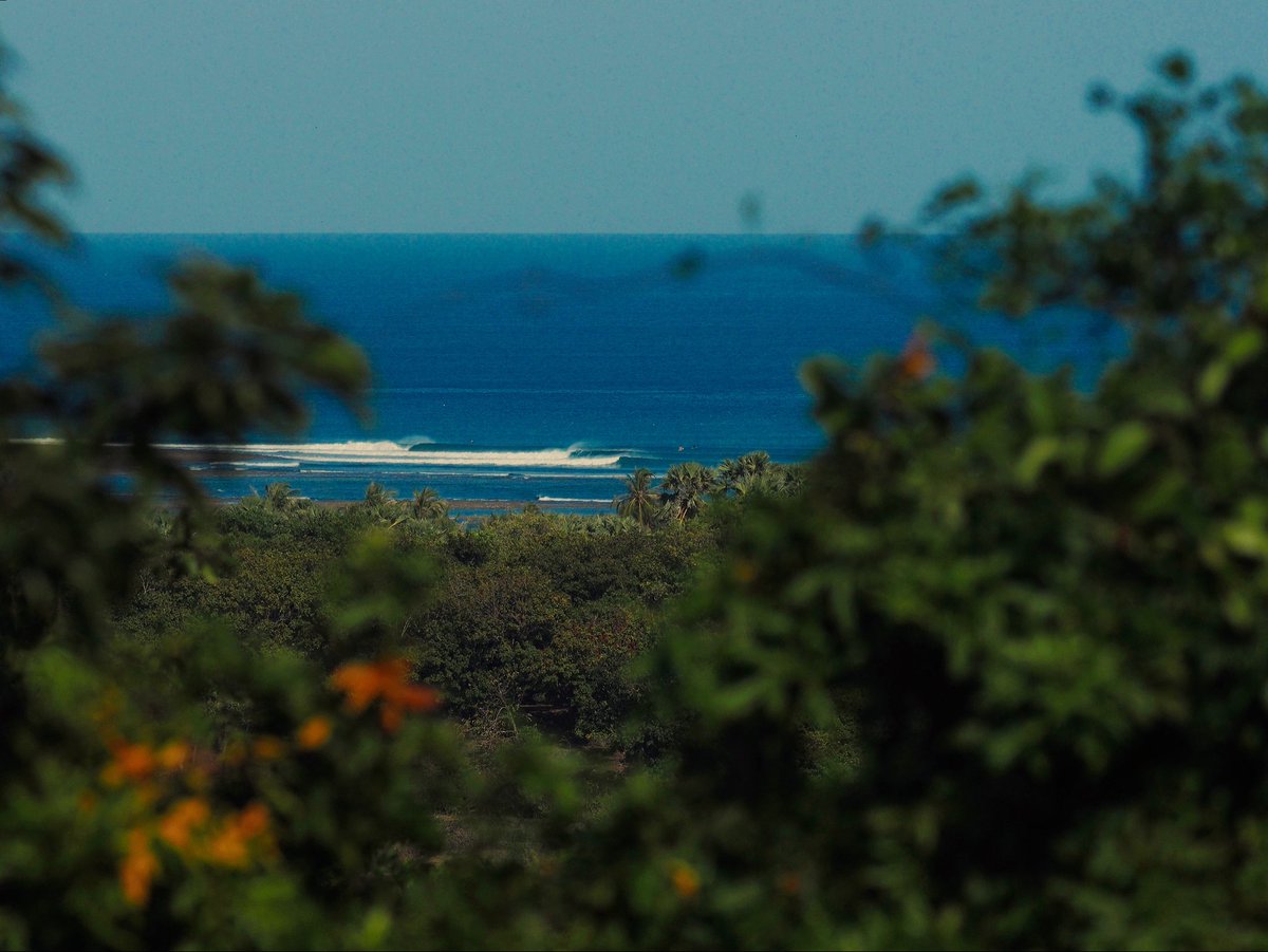NBR_surfing's tweet photo. The hidden paradise you’ve been searching for🏝️✨🌺
Pic by @dannybphoto 🌊
🖇️ Book now link in bio !
✉️ Go to the mail if you have questions!!

#NemberalaabeachResort #rote #explorerote #surfing #indonesiahiddenparadise https://t.co/O1azOvKwNz
