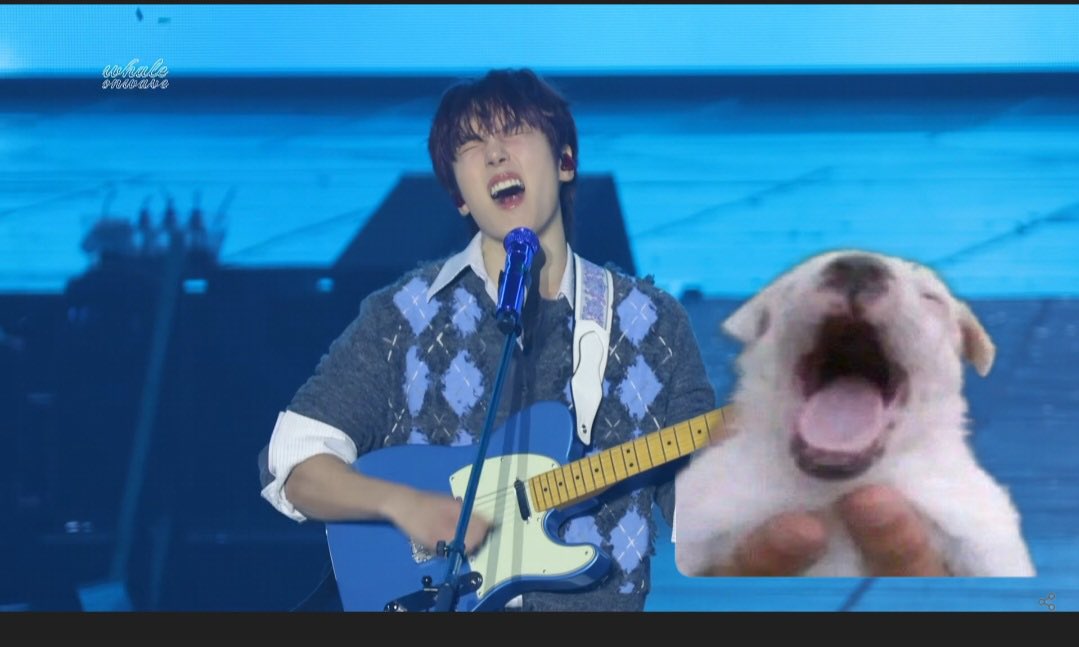 Whale On Wave (@whale_on_wave) on Twitter photo 