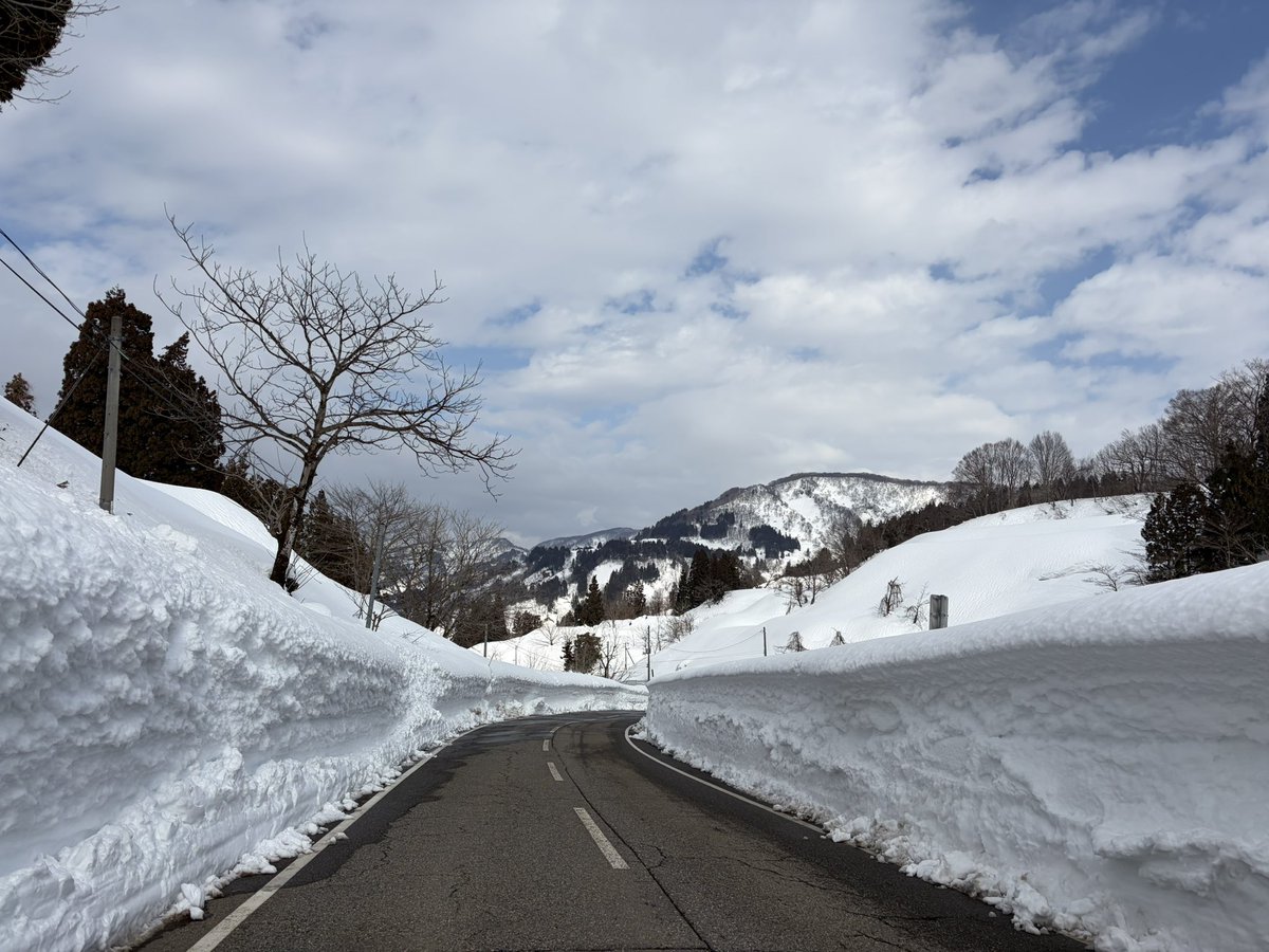 ドライブ日和！