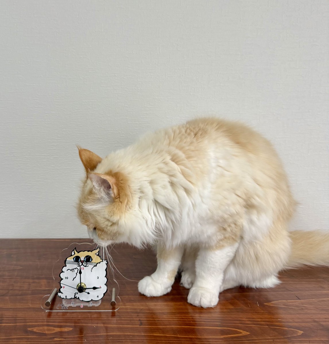 なみそ📕KEN/書籍重版！感謝📙 (@omochi_nam01) / Posts and Replies / X