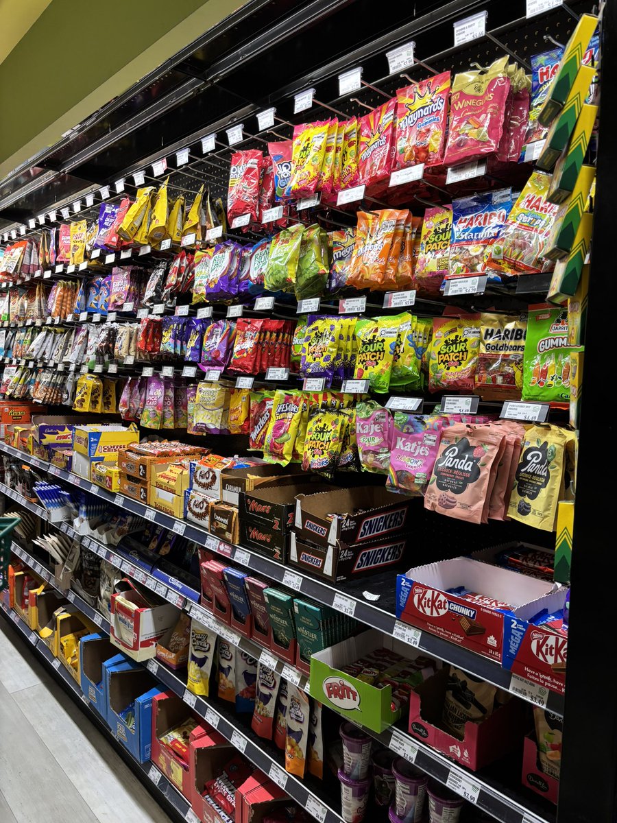 완전 내 세상이잖아?!?!