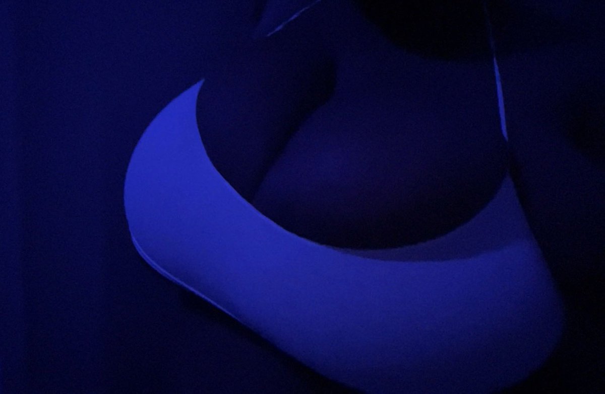 pup ૮ ˆﻌˆ ა tweet media