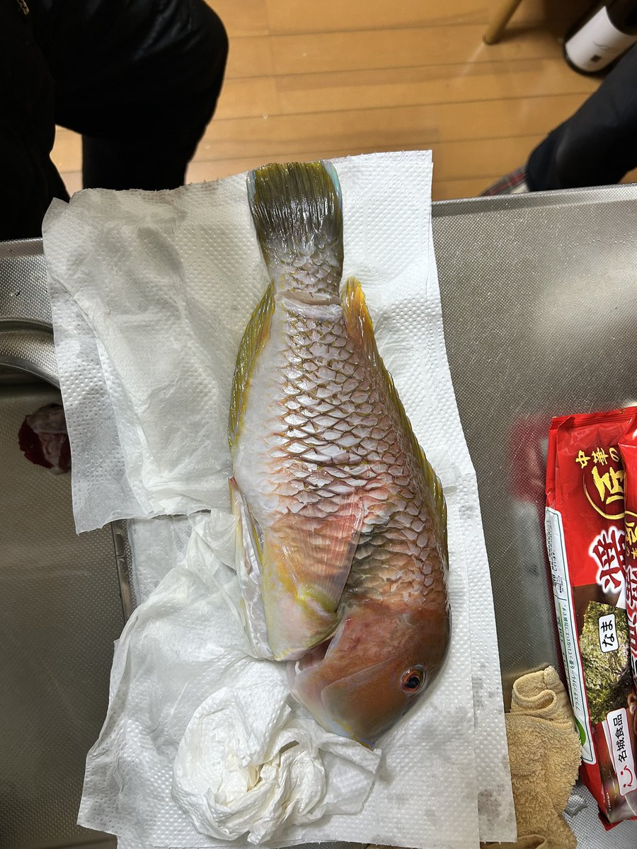 Fish throttle (クソ雑魚アングラー) tweet media