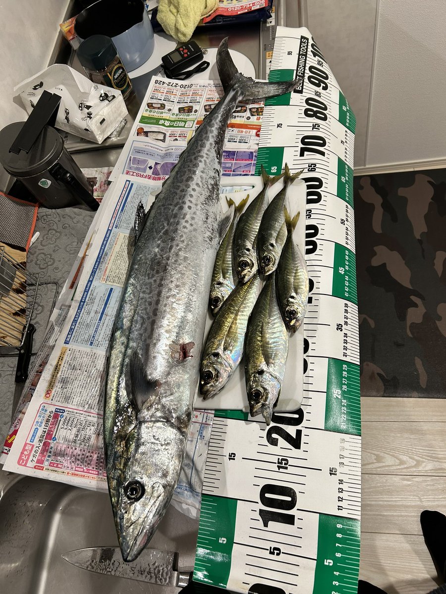 Fish throttle (クソ雑魚アングラー) tweet media