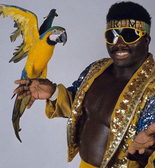 UCantMemeMe's tweet photo. Random Wrestler Of The Day: Koko B. Ware 🦜
High-flying energy, flashy style, and Frankie always stealing the show. Pure 80s/90s vibes and nonstop charisma.

#WWEThrowback #WWE #WWERaw https://t.co/lLhcBJBCe3