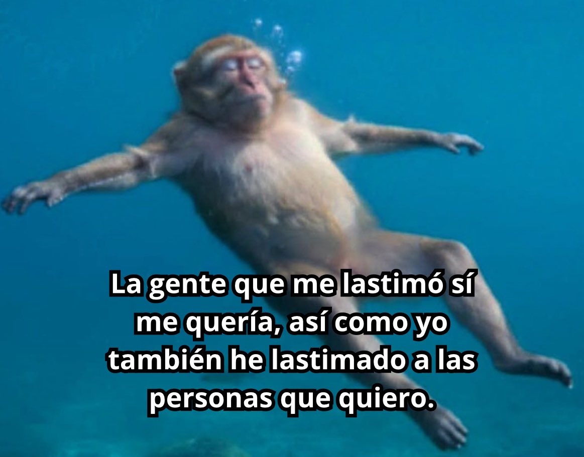 conoloracigarro's tweet image. 