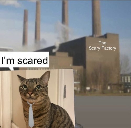 factory cat tweet media