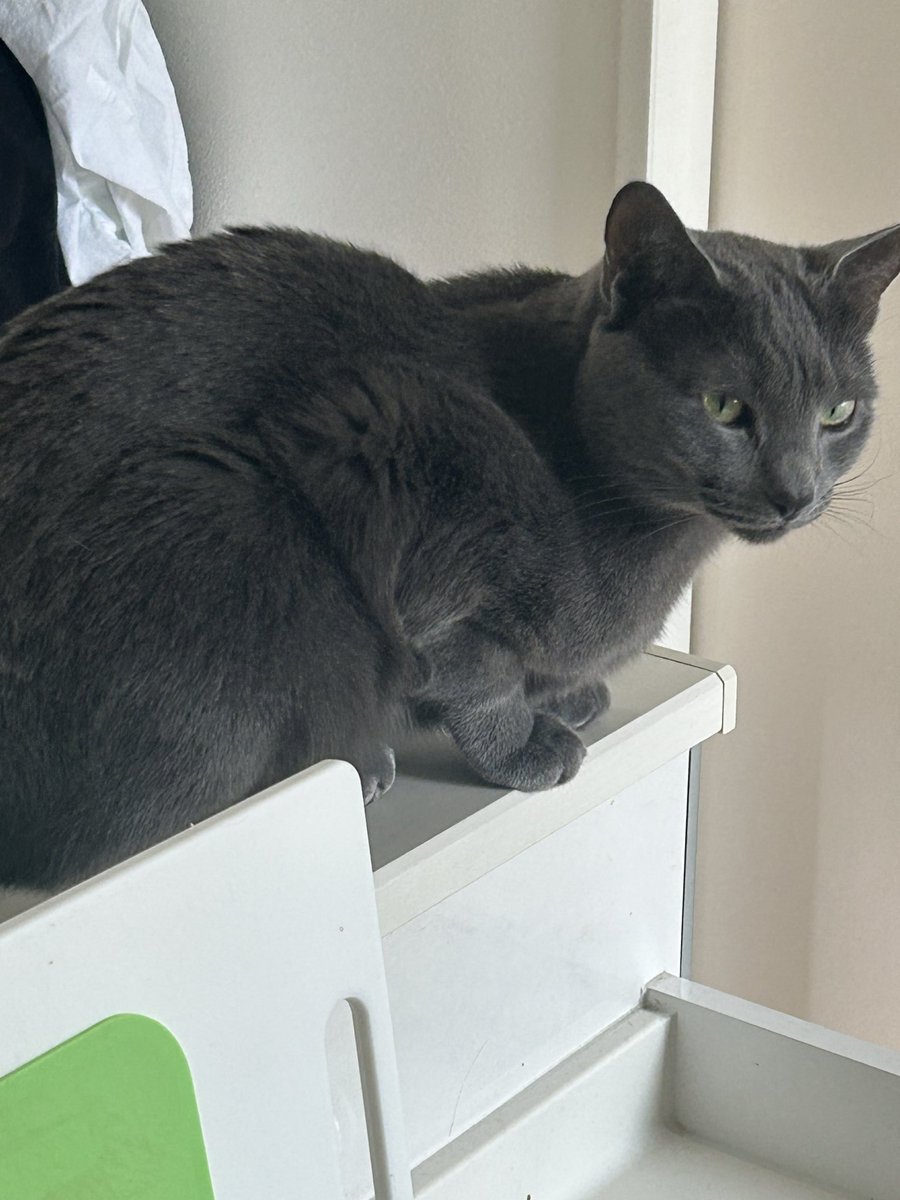 四方山 天国 tweet media