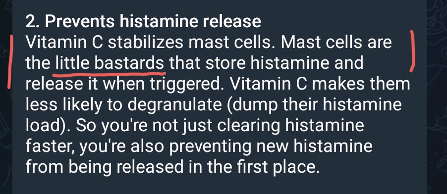 Opinionated agent screenshot