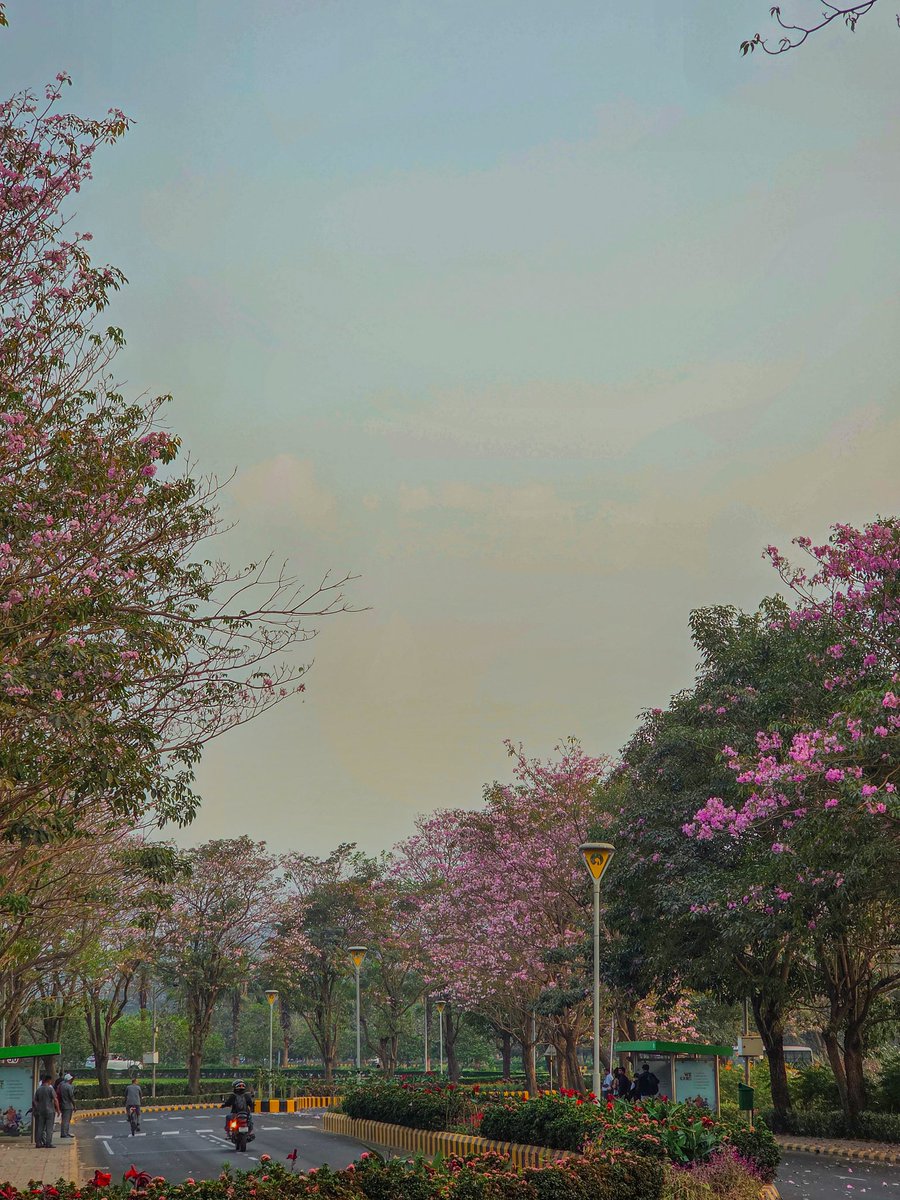 CatchMeAbhiOrb's tweet image. This isn't JAPAN / KOREA / DC ❌

This is NAVI MUMBAI ✅

This is my WORKSPACE ❤️

#Blossom #Sunsets