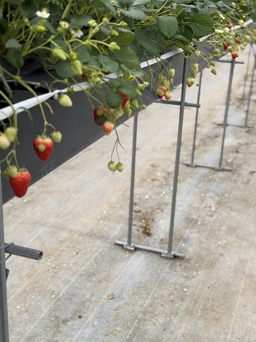 大阪エクセルホテル東急 tweet media