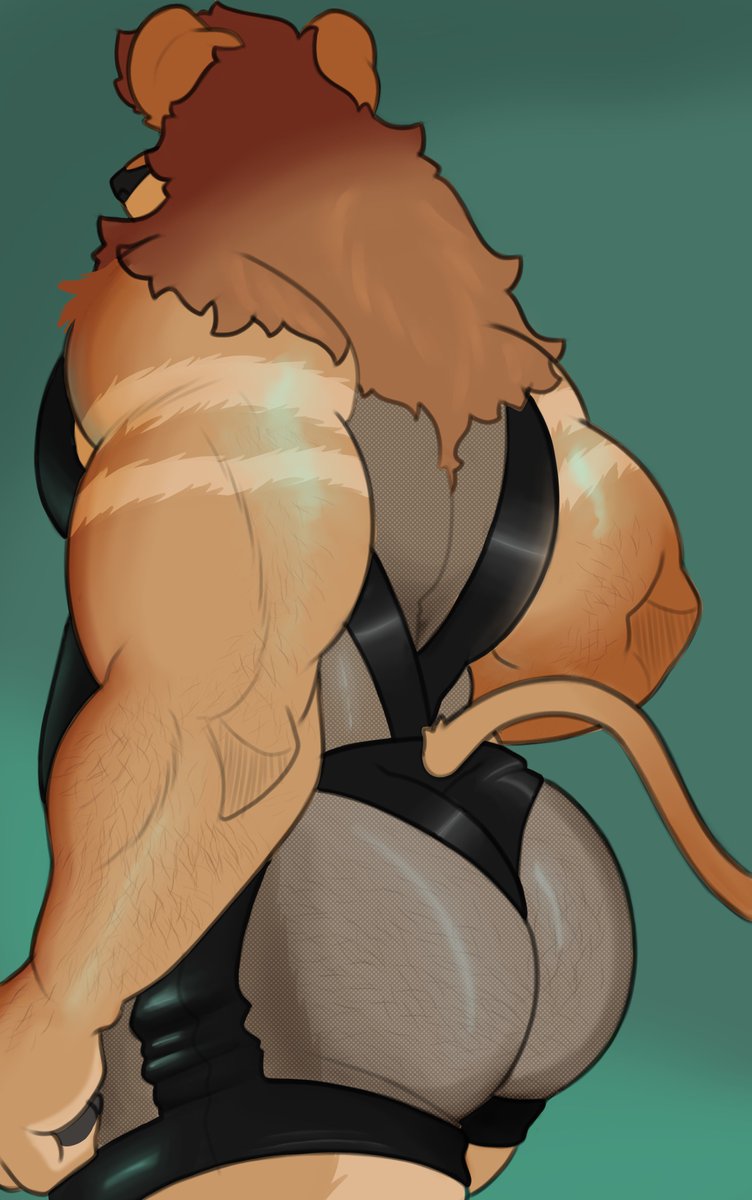 Squishy Lion 🦁 tweet media