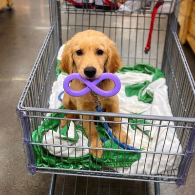 Do you not understand how early you are ?! #BP