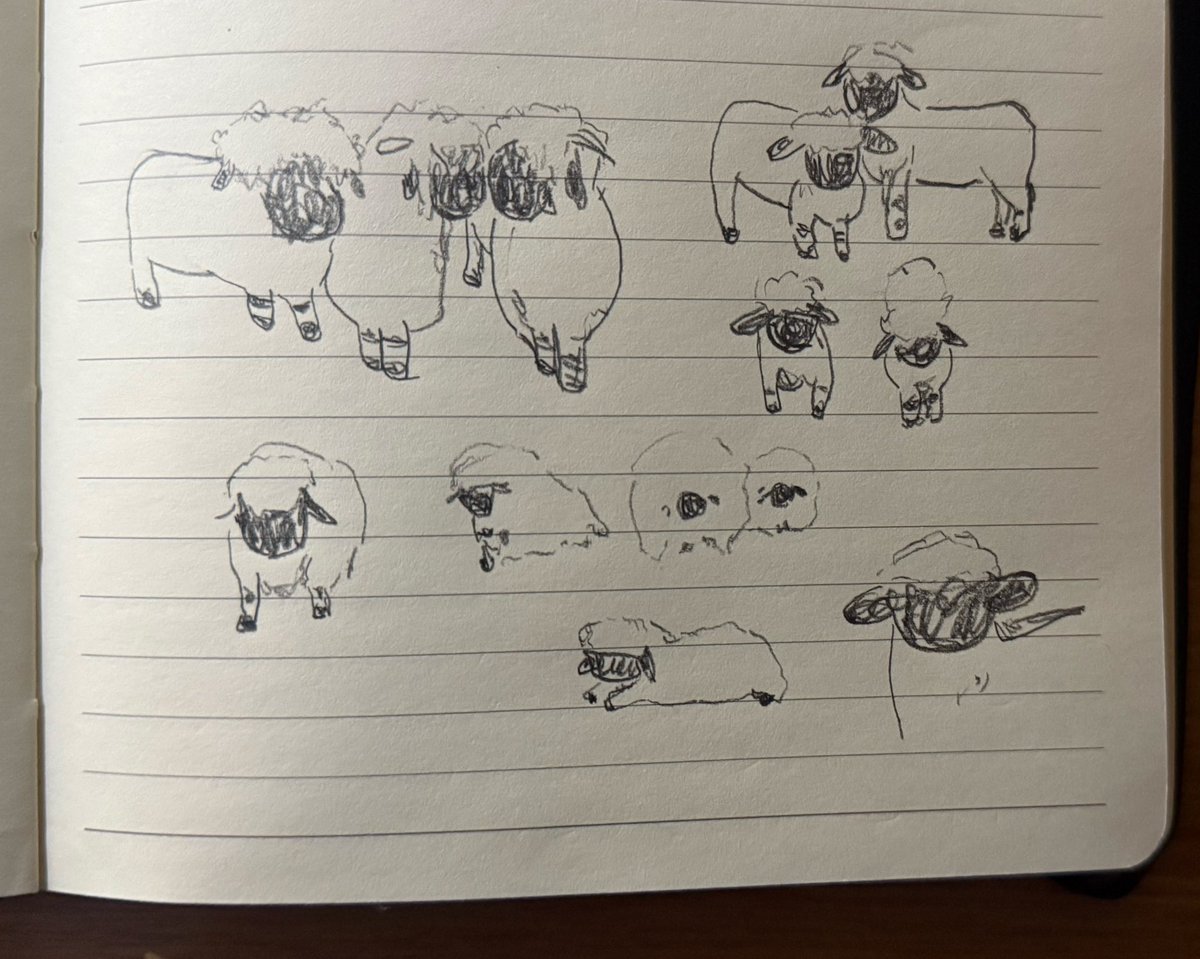 黒い顔の子羊が好きすぎて！！