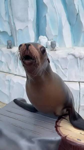 <a href="/poe_real69/">POΞ ⚡️</a> I float and swim 

Double trouble