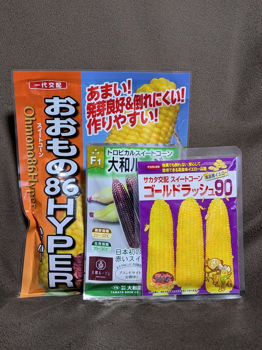 #今年の栽培品種2026 ①
#トウモロコシ
#家庭菜園

菜園規模の縮小にともない
ホワイト品種をカットし
今年は写真の3品種で挑みます。

[新規品種]
なし

[継続品種]
①おおもの86HYPER
②大和ルージュ
③ゴールドラッシュ90

[中止品種]
ホイップコーン

【おおもの86HYPER】