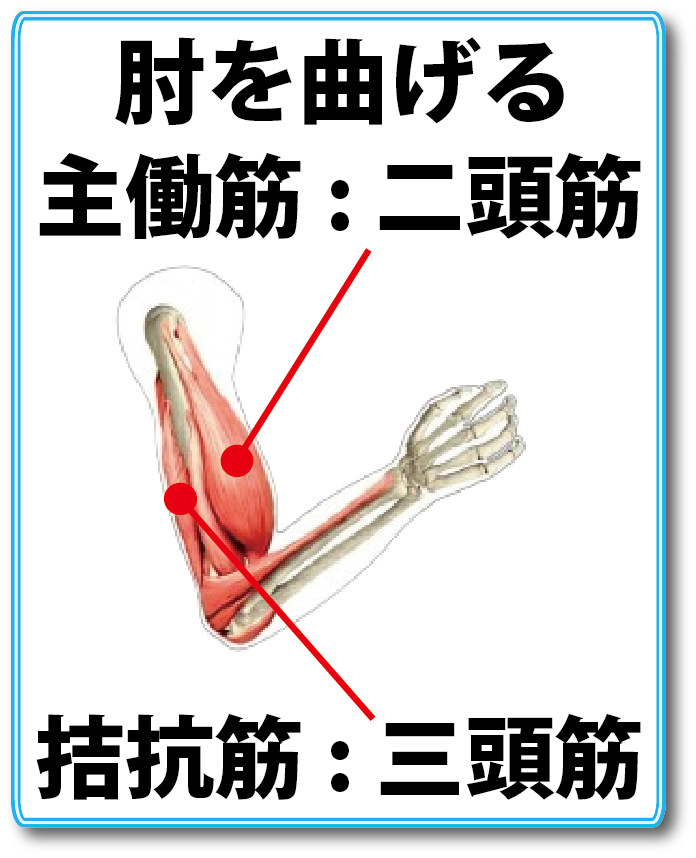 纐纈卓真/空手家 纐纈(こうけつ たくま) tweet media