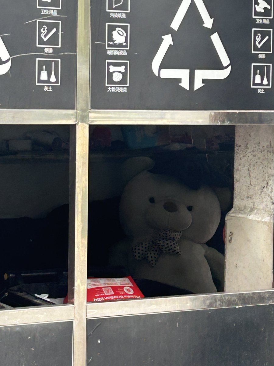 关于小熊的事也关于你关于我关于喜欢与否