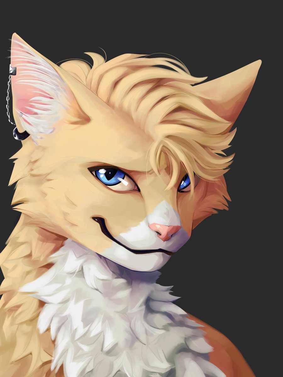 RadioKrow tweet media