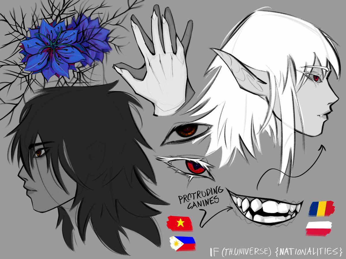 RadioKrow tweet media