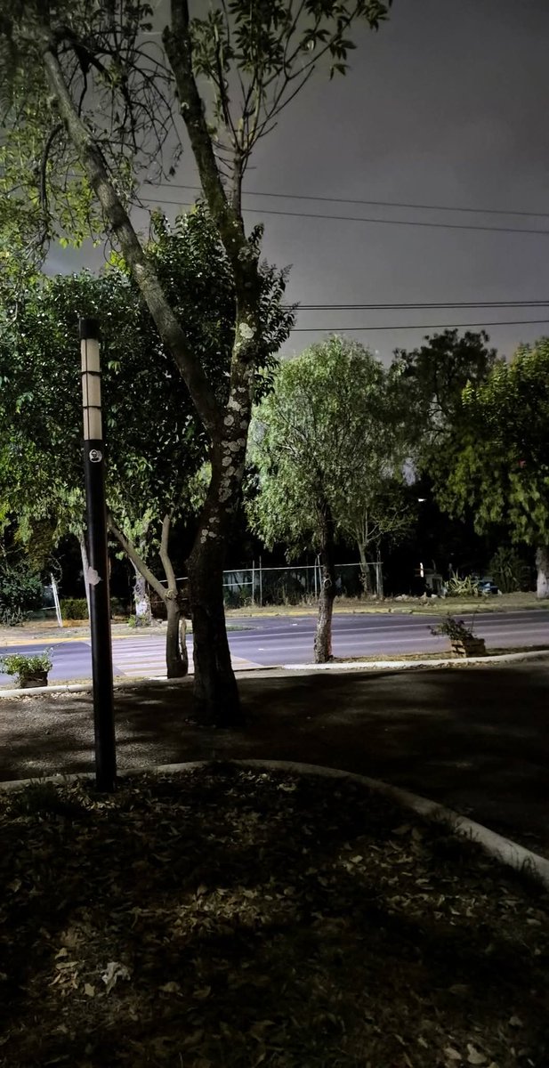 PuntoMedioEdo's tweet photo. 🕯🚨💡 Lámparas #apagadas en pleno corazón de Cuautitlán #Izcalli.
El corredor peatonal de la avenida Constitución permanece en "#penumbras" debido a que numerosas luminarias no funcionan...
🤳🏻 Más información ⬇️
https://t.co/4aAg1Nqh2E https://t.co/aud2C6DgTm