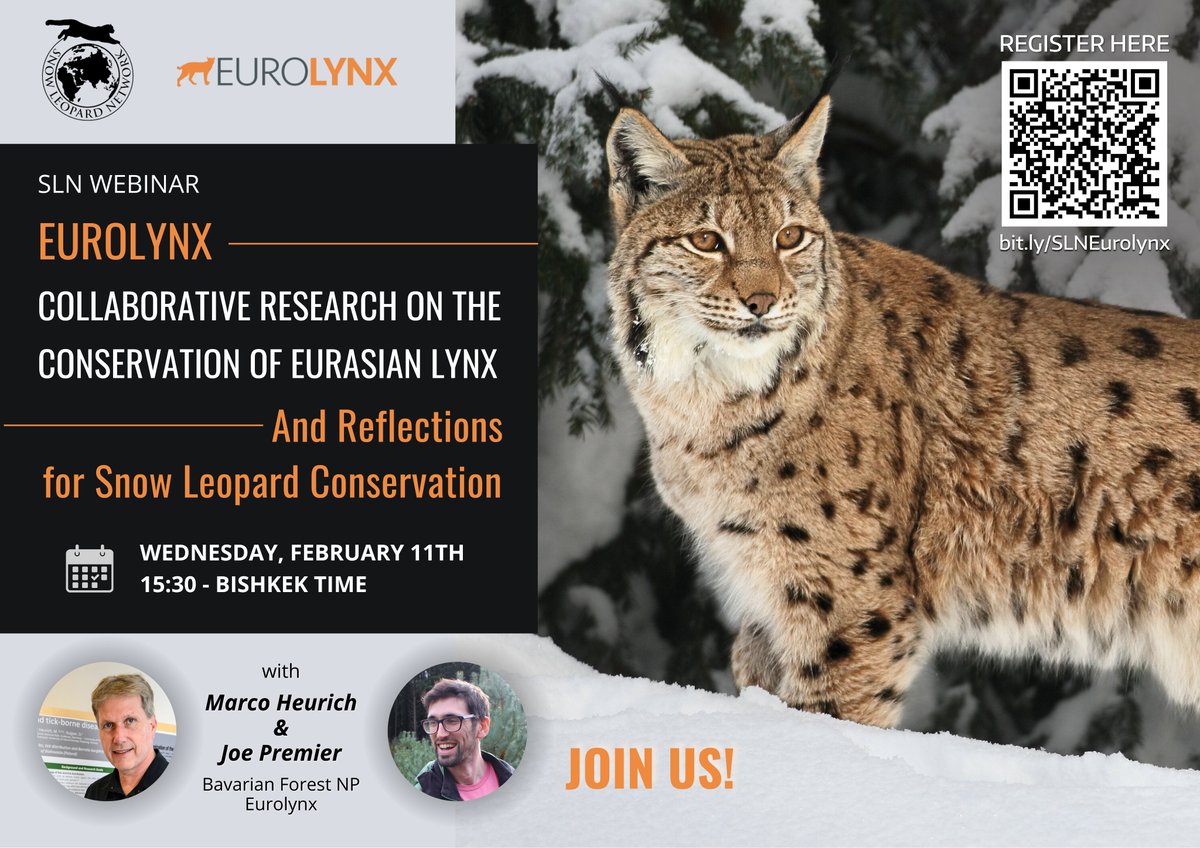 Snow Leopard Network tweet media