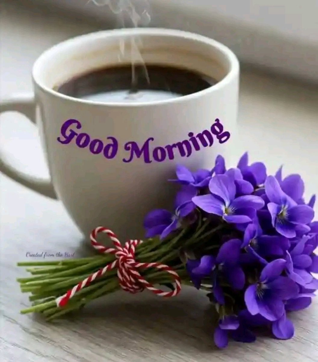 Alba_lor's tweet photo. @zoritxi Buenos días mi atenta amiga Zoritxi, que tengas un día que todo fluya a tu favor, feliz jueves!!! 😘😘😘😘😘😘💜💜💜💜💜💜
#APOYOROCIO5F https://t.co/jzqxCyMPIZ