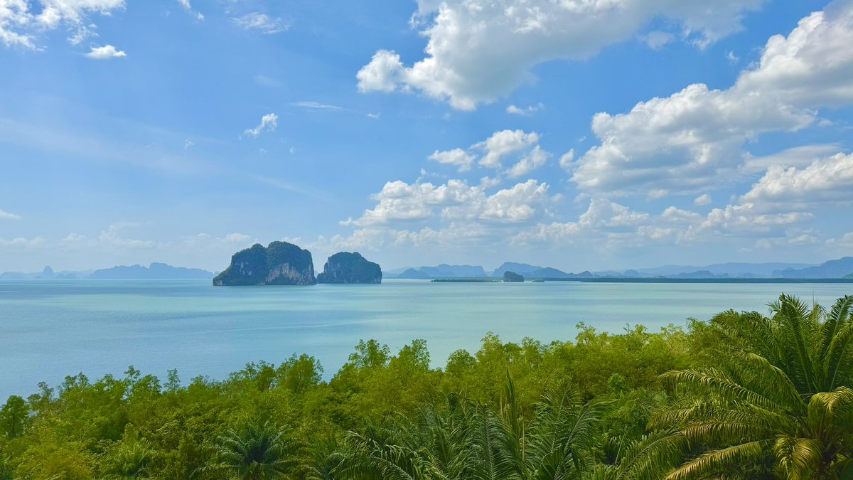 Steve in Phuket tweet media