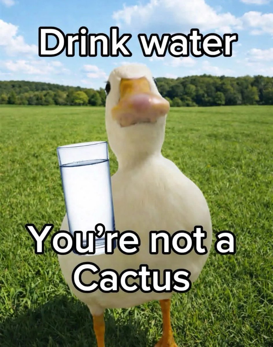 ADHD Memes (@adhdforreal) on Twitter photo 