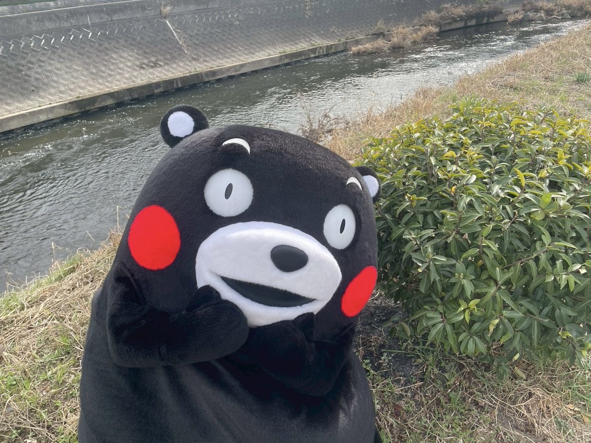 くまモン【公式】 (@55_kumamon) / Posts / X