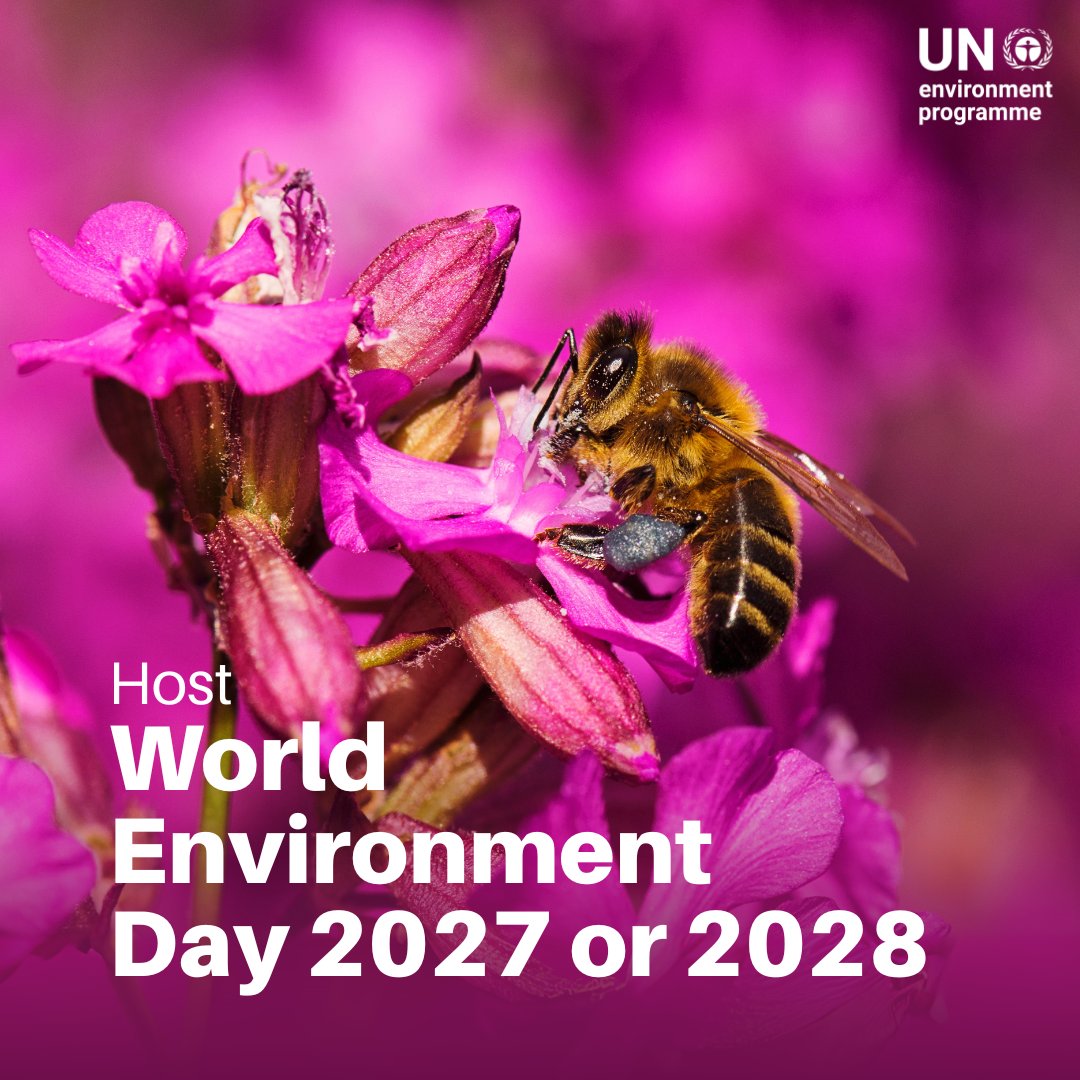 UNEP's tweet photo. Is your country ready to lead global environmental action? 🍀

UNEP is inviting Member States to express interest in hosting World Environment Day 2027 or 2028, the world's largest platform for environmental outreach, reaching hundreds of millions of people and mobilising governments and organisations across 150 countries.

Why host World Environment Day?

🌍 Showcase your environmental leadership on a global stage

The 2025 edition brought together more than 10,000 participants from governments, civil society, and diverse partners.

🎯 Gain worldwide visibility and influence

In 2025, over 56,000 top-tier media stories were generated across 56 languages, amplifying the host country's efforts and vision.

In 2024, messages appeared on billboards, airports, ferries, and metro systems in 112 countries.

✨ Mobilise action and inspire meaningful change for a healthier, more sustainable world

In 2024, the global campaign reached more than 400 million people on social media and sparked 4,000 events and activities.

Interested countries are encouraged to submit their Expression of Interest by 16 February 2026.

Apply now! https://t.co/drTpOLlLM6