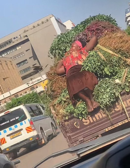 She carries today so her children can have tomorrow 😢

That is a language of love only mothers truly speak❤.

If your mother ever struggled for you, LIKE this and leave her a kind word in the comments.

( Daddy Freeze | softcare | Moniepoint Wahala | INEC )