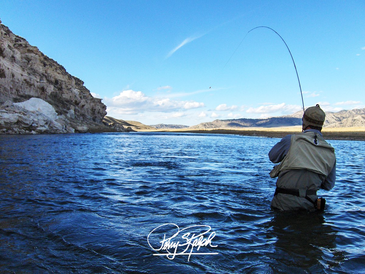 perryralph's tweet image. It's come to my attention that someone likes Fly Fishing #FlyFishing🎣

"Fly Fishing the Miracle Mile"

I brought my camera out in the middle of the North Platte River to take a shot of a fisherman reeling in a big one.  I didn't fall.  #MiracleMile #Wyoming  #NorthPlatteRiver