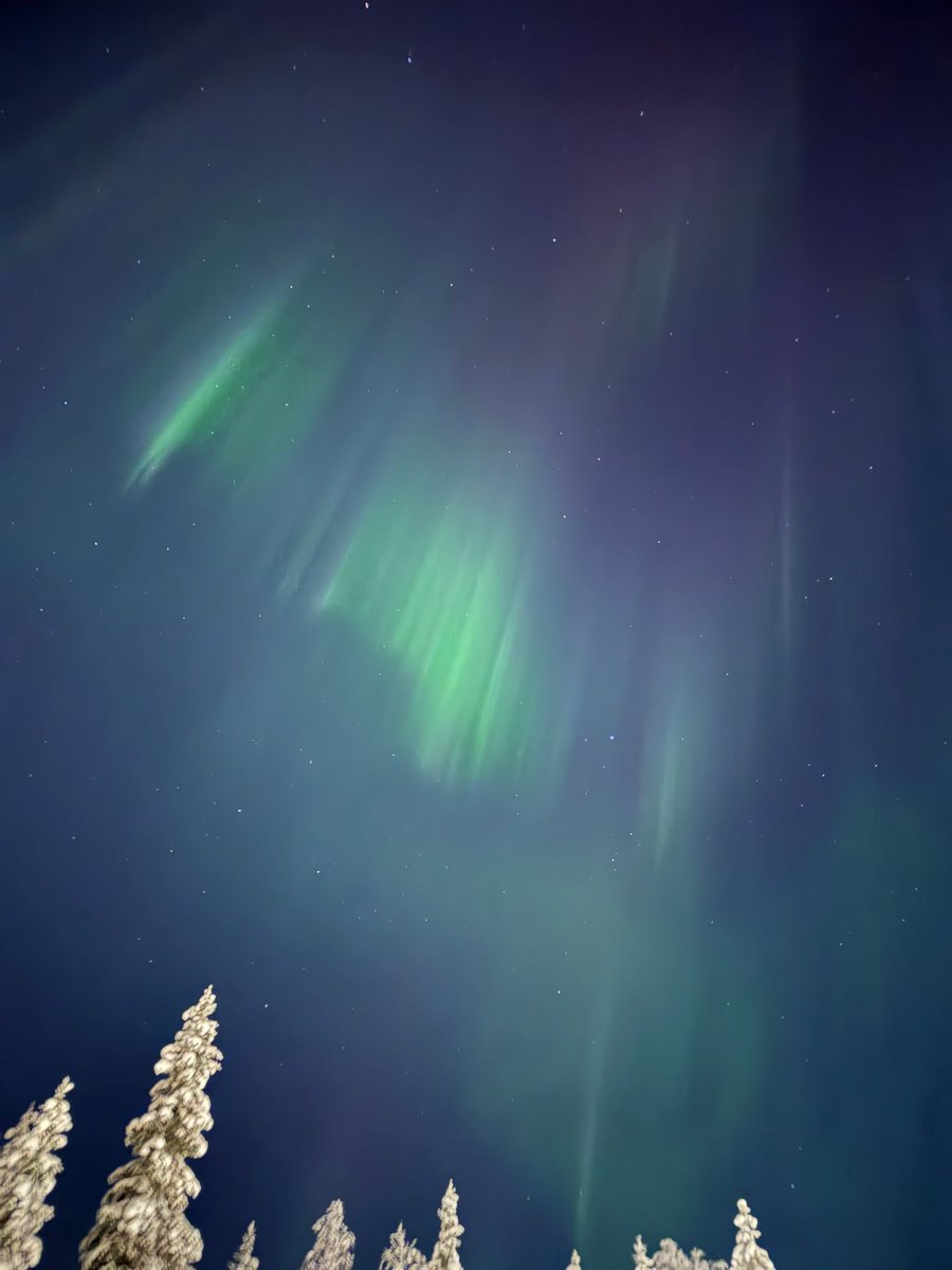 Shlomi Ardan tweet media