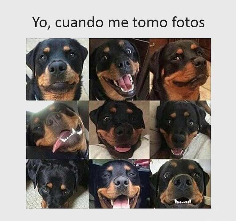 topmejorvirales's tweet image. #ironia #viral #jajaja #gracioso #risas