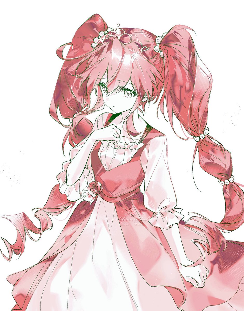 心事无人解

#ふたご姫 ＃ファイン　
＃ふしぎ星のふたご姫