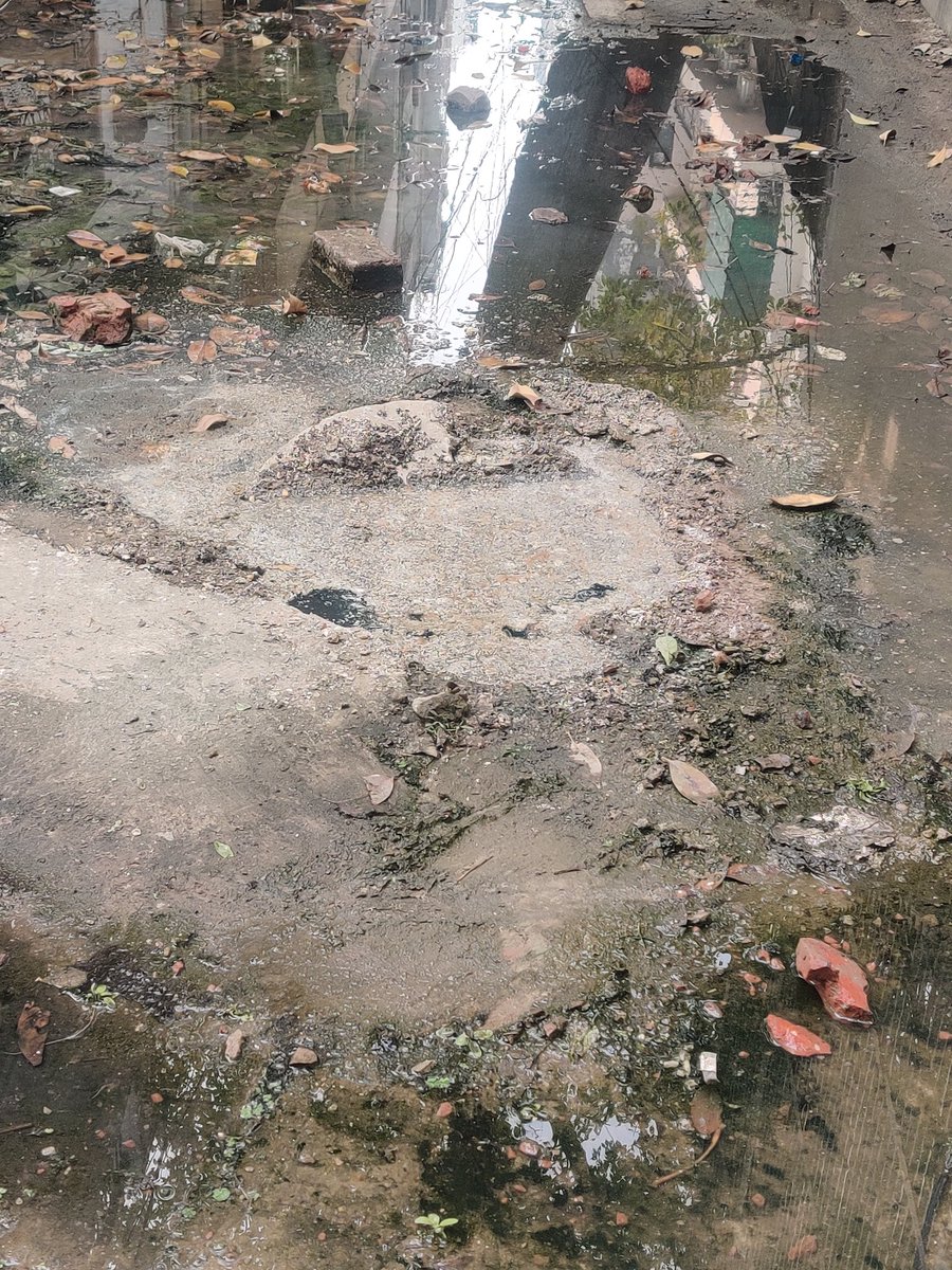 AjitkaurAk's tweet photo. @CMODelhi @PMOIndia @narendramodi @HMOIndia @AmitShah @NitinNabin @gupta_rekha Sept 2025 se लगातार C1/139-150 Janakpuri के सीवर बन्द की कंप्लेंट डाल  रहे नागरिक को समाधान चाहिए। @DelhiJalBoard को बजट दीजिए । जमीनी स्तर पर काम करवाइए।  #ViksitBharatBudget #Delhi #sewage #Accountability https://t.co/EGTalHomG9